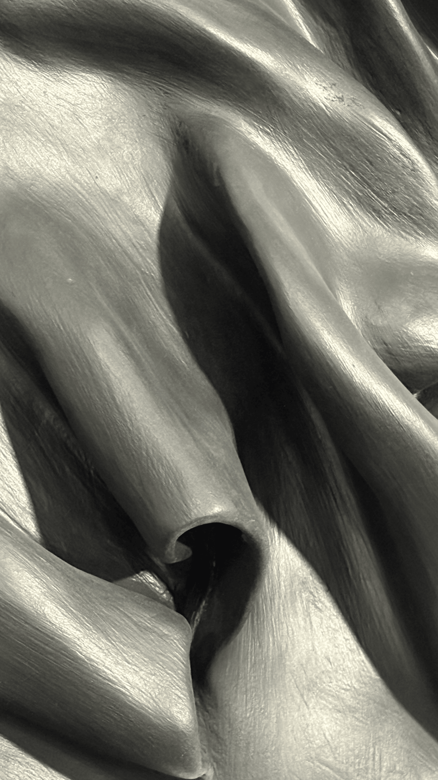 Monochrome Collection (Black & White Art Pieces)