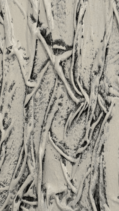 ROOTED ESSENCE